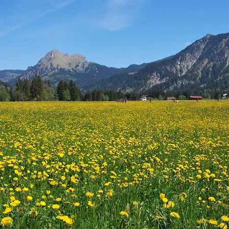 Aggenstein Pensionat Haldensee