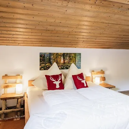 Aggenstein Konukevi Haldensee